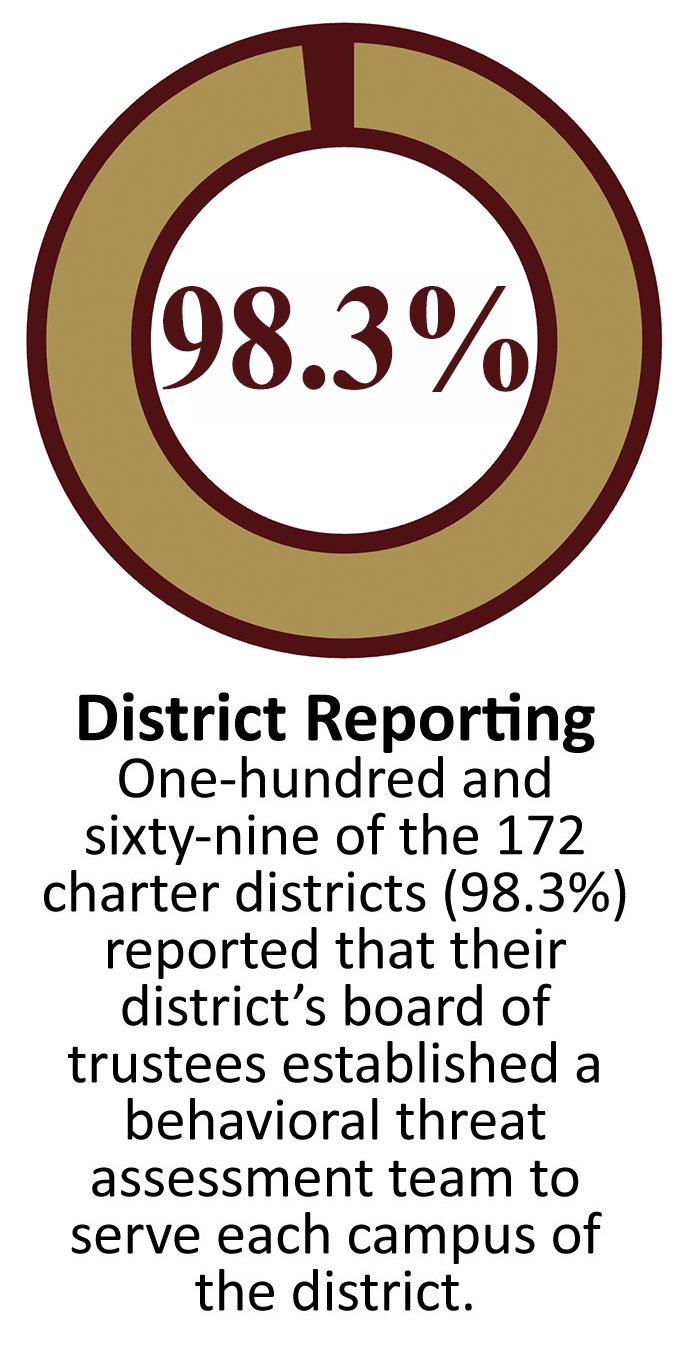 info graphic supporting text